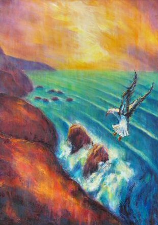 Australian Art - Sea Gull by Douglas Harrip
