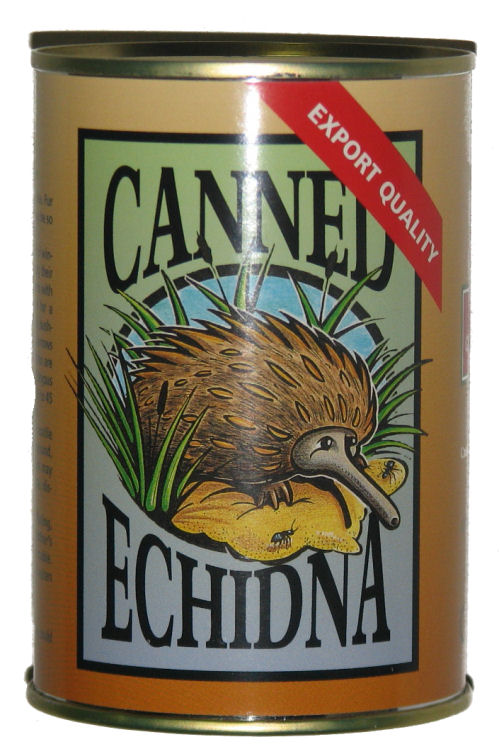 Canned Echidna