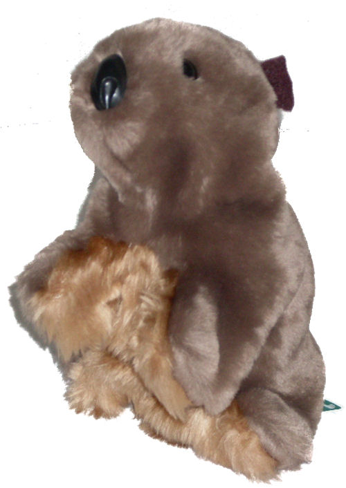 Hand Puppet - Wombat