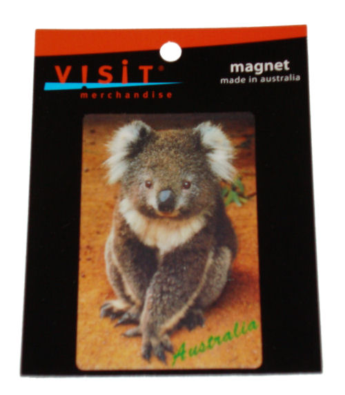 Magnet - Koala Australia 85x85mm