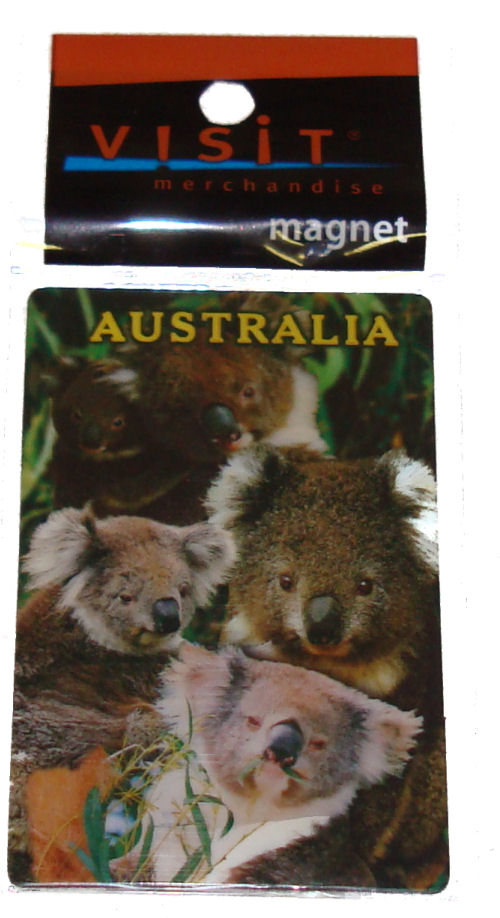 Magnet - Koalas 85x85mm