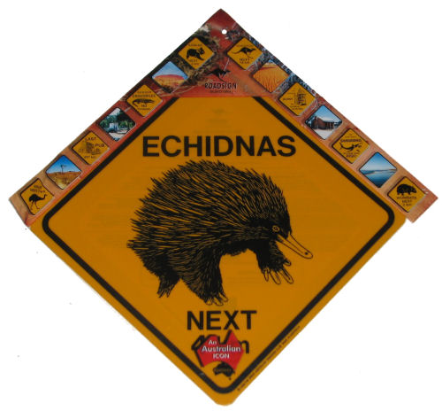 Medium Road Sign - Echidna