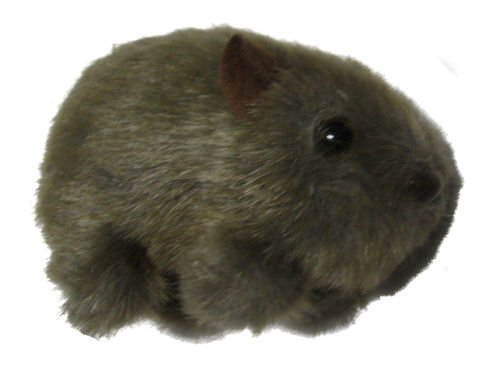 Plush Toy Wombat 4" 11cm